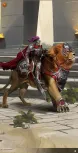 Lion Rider
